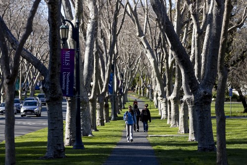 students walking through the trees on campus